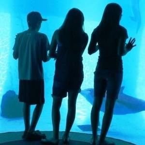 Meet your Posher, Sherry